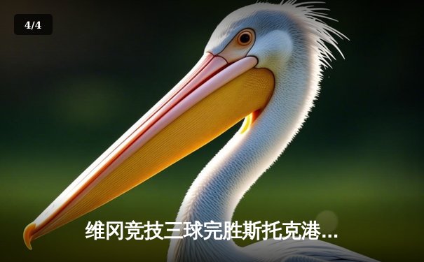 维冈竞技三球完胜斯托克港 雨燕直播见证英甲升级关键战 - 4