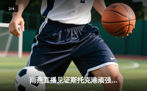 雨燕直播见证斯托克港顽强逼平维冈，升级附加赛悬念延续 - 2