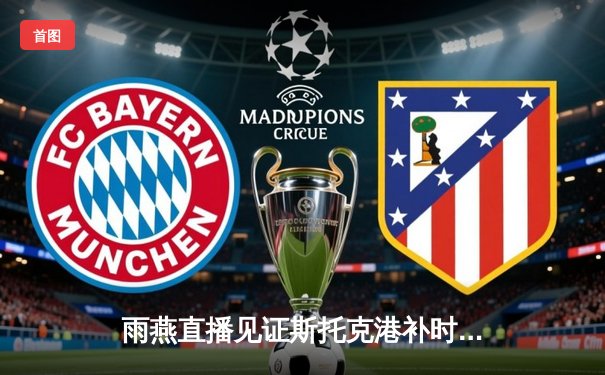 雨燕直播见证斯托克港补时绝平维冈，2-2激战折射英甲保级硝烟